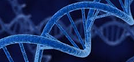 genetic factors Mental health