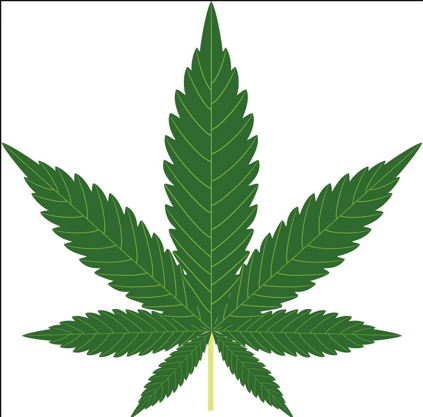 Psychosis and Marijuana use