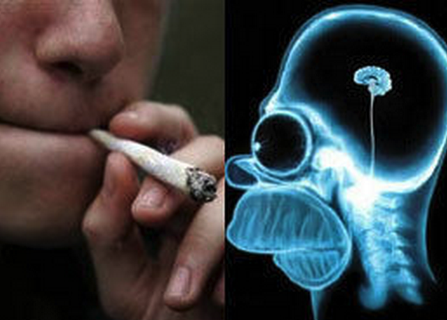 Курение марихуаны мозг табак конопля